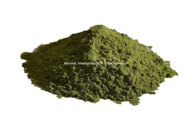 Dried Spinach Leaves Powder